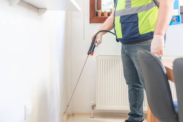 Best Wasp Removal Services  in Madera, CA