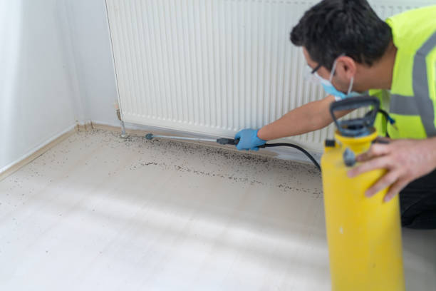 Best Pest Prevention Services  in Madera, CA